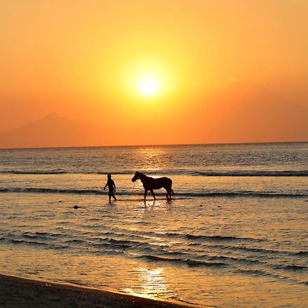 Villa Sunset Beach Τζίλι Τραγουανγκάν Εξωτερικό φωτογραφία